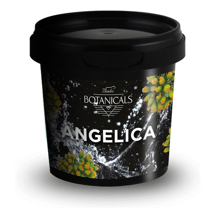 Angelica - 35g