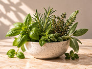 ERBE AROMATICHE