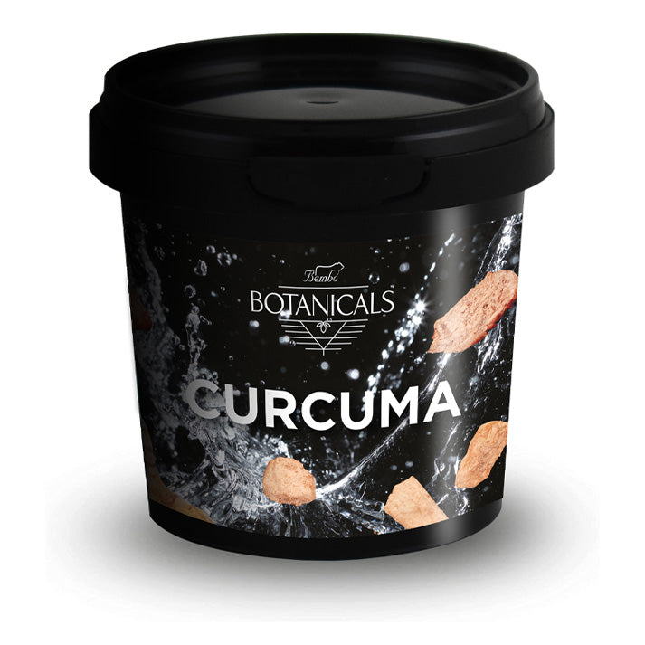 Rhizome de curcuma - 65 g