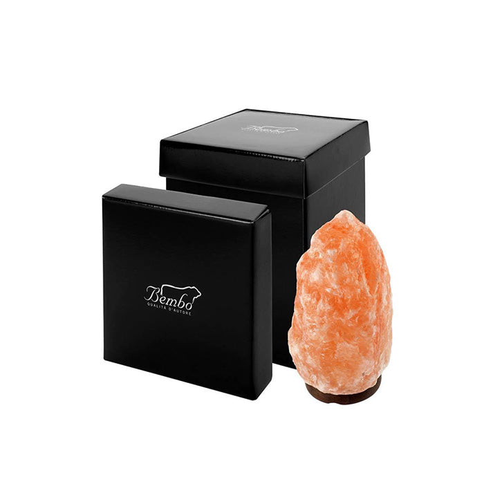 Lampada di Sale dell'Himalaya 1/2 kg
