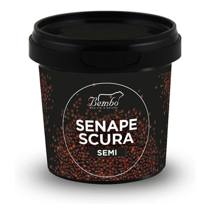 Dark Mustard Seeds - 90g
