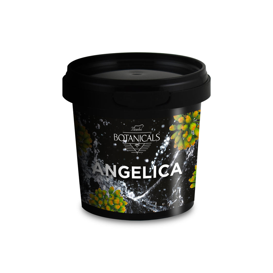 Botaniche Gin - Angelica